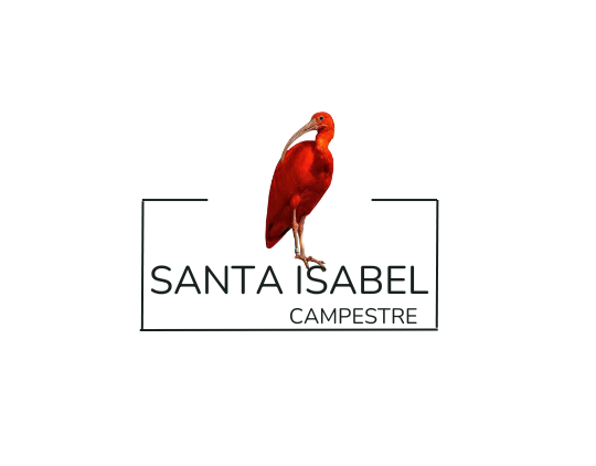 Logo Santa Isabel
